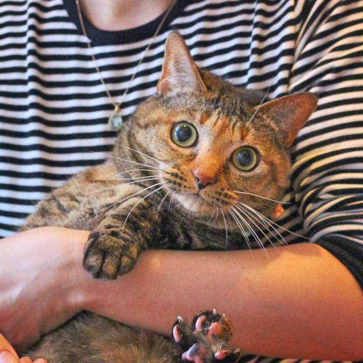 726f4ac9 c3d1 4275 adbb 1dde355c9aab 1670195294504