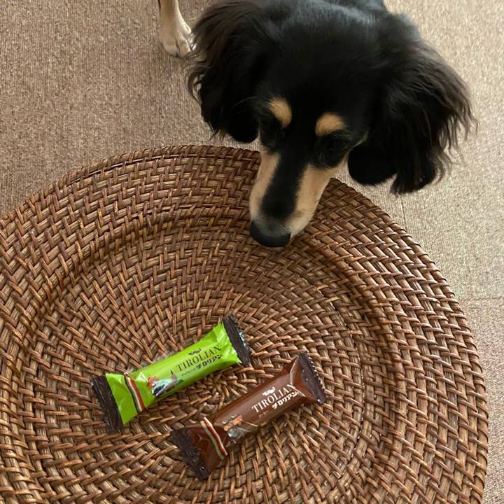 726f996f 910d 4c6b 8808 8cf84b2e3b55 1701471337383