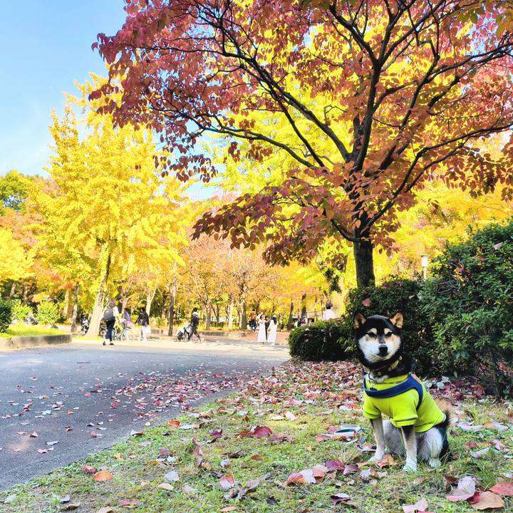 726f9c7a 3f98 4355 b2f3 2ee9924beb92 1763975344705