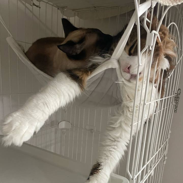 726fa635 8087 4e43 a43f d7060f8ad256 1760564416909