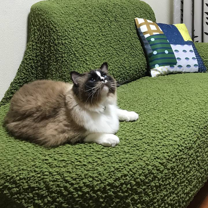 726fb16e 2acd 4479 b301 d2f2ef6ecf79 1508740333007