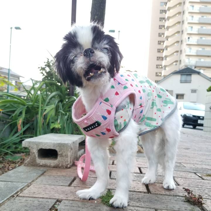 726fbc62 f76a 4de5 a9cb cfacecf9ca51 1633923837033