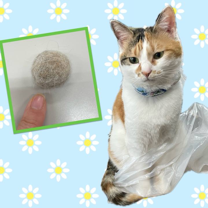 726fc285 e8ec 41d7 9e6a 05b0dabb8060 1715138965458