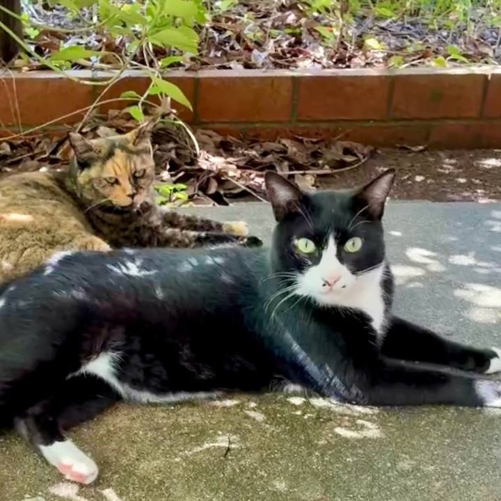 726fda44 0d75 47f9 90cb b9ce77624ab6 1757902048061