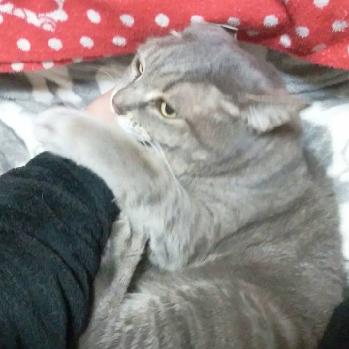 726fe8fd b8d2 4739 932b 0b11e2693fd2 1582346562260