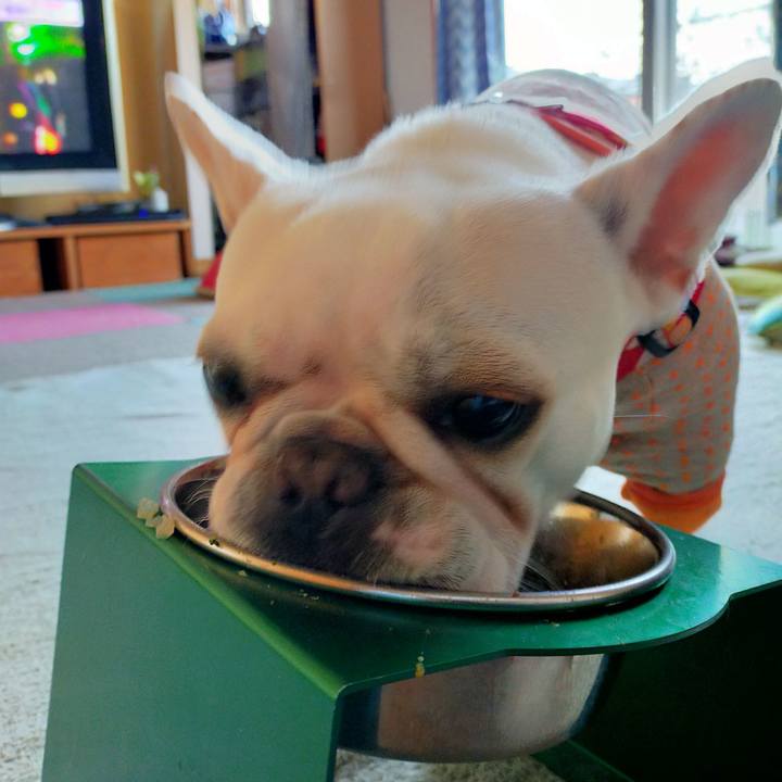 72700157 df71 459d 9985 418f8df86057 1639521051866