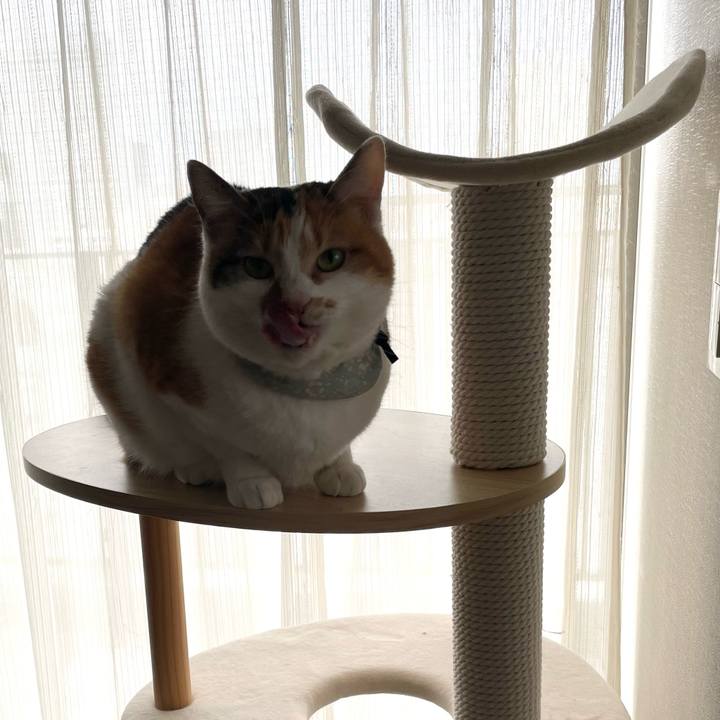 7270213f 28cd 4836 9110 b1220e39d91e 1677628038368