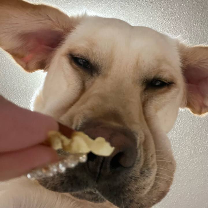 72702f9b bd15 4ca5 95e3 ffbf70d493d5 1676253737124