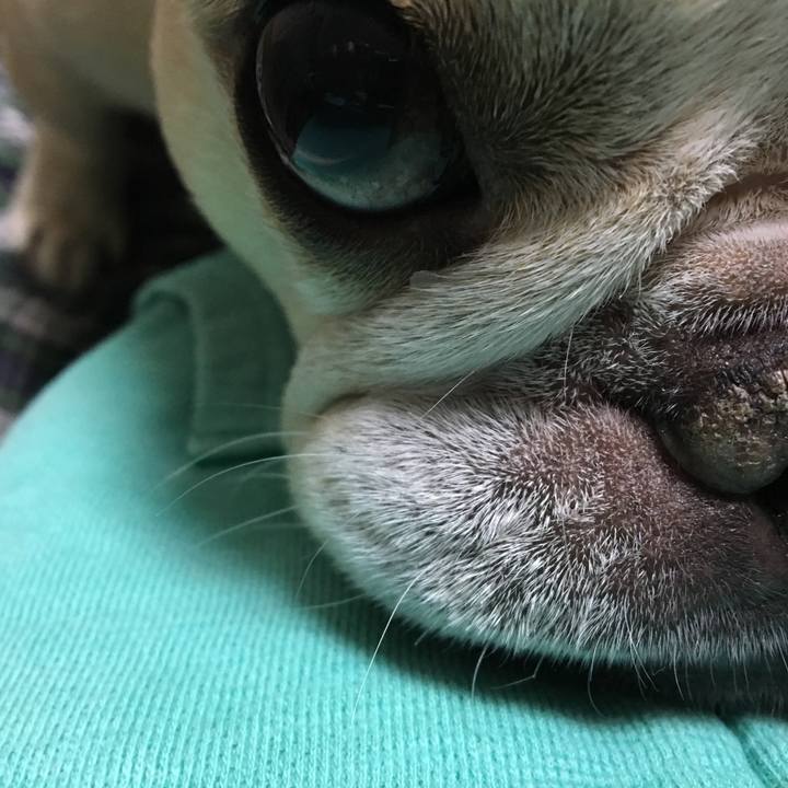 72705ac9 595a 4004 bc1d 76b82cd241b4 1513344451801