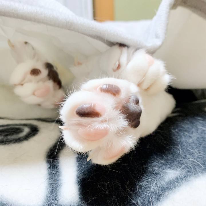 72709846 382b 4e03 9504 0434bec8b739 1552095273952