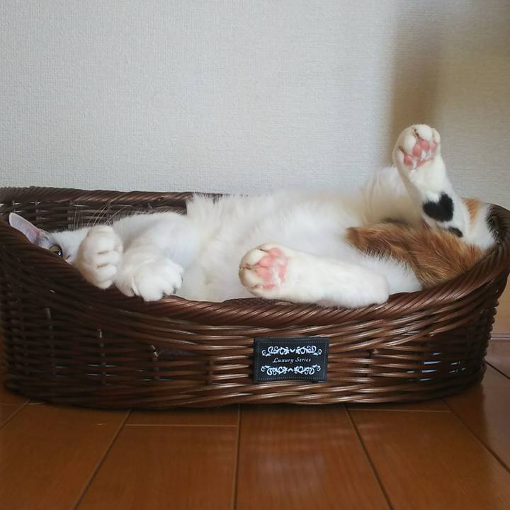 7270f4bd 31b8 4843 9c7a aea96387f302 1530574513495