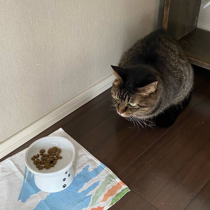 7271164b 5974 4f9b a394 155e8a838462 1762788383942