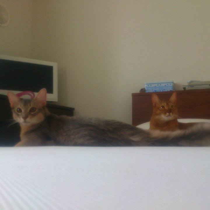 7271621b 66c4 4476 bb1b 4846b9aeabbb 1547303154128