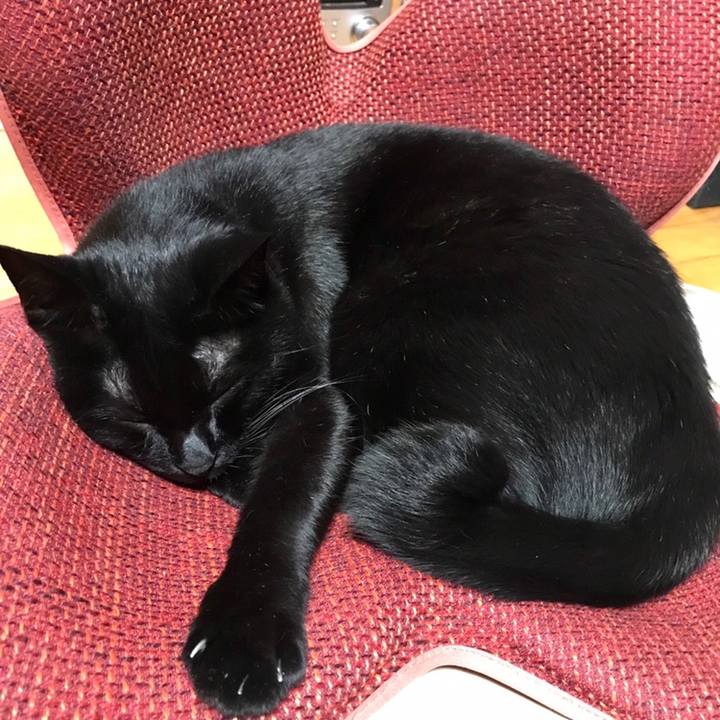 72717e6d 1714 43d1 bf2c e342955c88e3 1558706322953