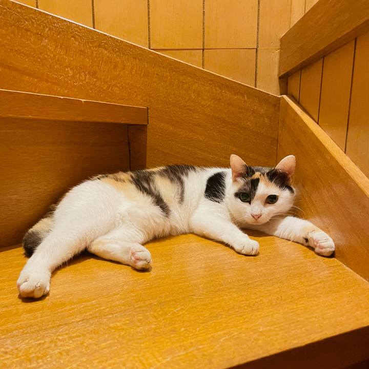 7271acd5 ce33 416e b27b 581096b31f8b 1661393006543