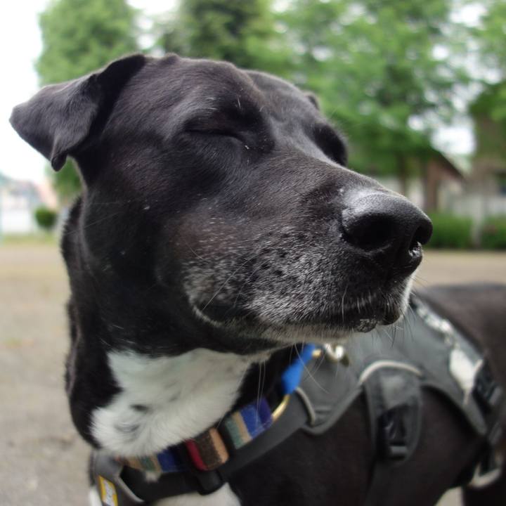 7271b7d2 ffee 4ba7 8619 2536684f7c57 1651367569142