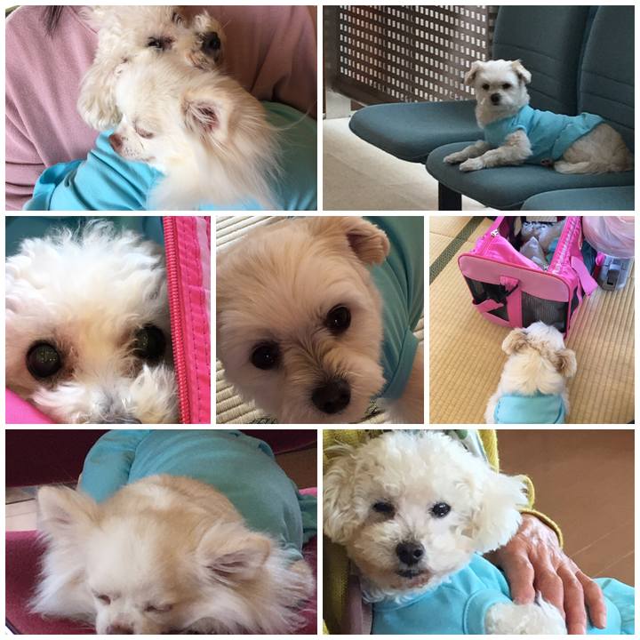 7271e045 bc64 419c 8292 083ddf5de8dc 1553836694013