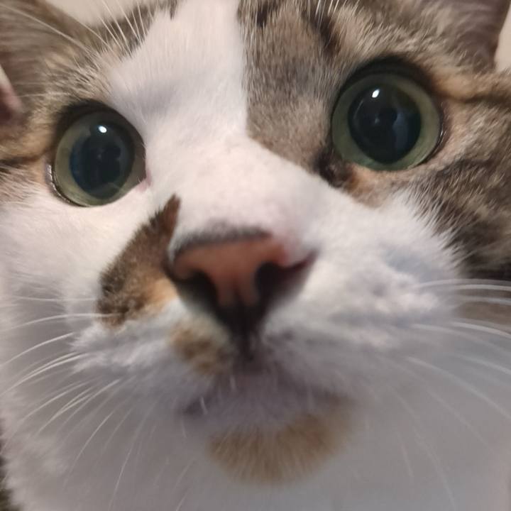 7271e0b3 5f74 40ca a934 2c2d4d84536d 1759583483036