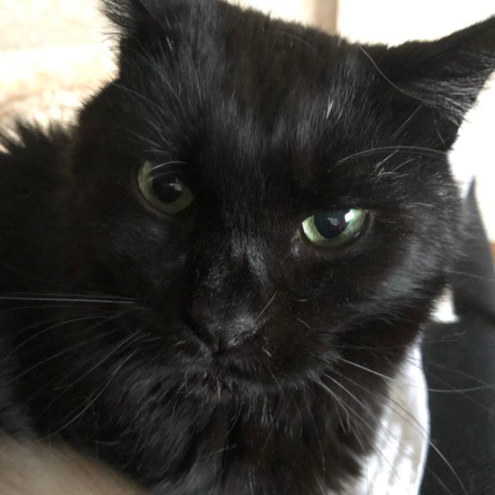 7271fa20 10dd 448d bbe7 bd9dc16b4a43 1635804055905