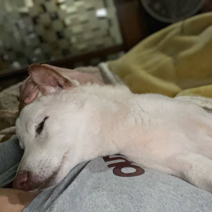 7271fdeb 6267 4c67 875f 0666643a5be3 1648051990568