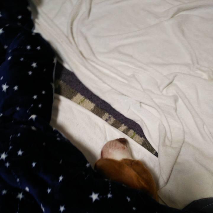 72729814 eb71 4a34 9b8b 5f0cb0834f15 1555334379444