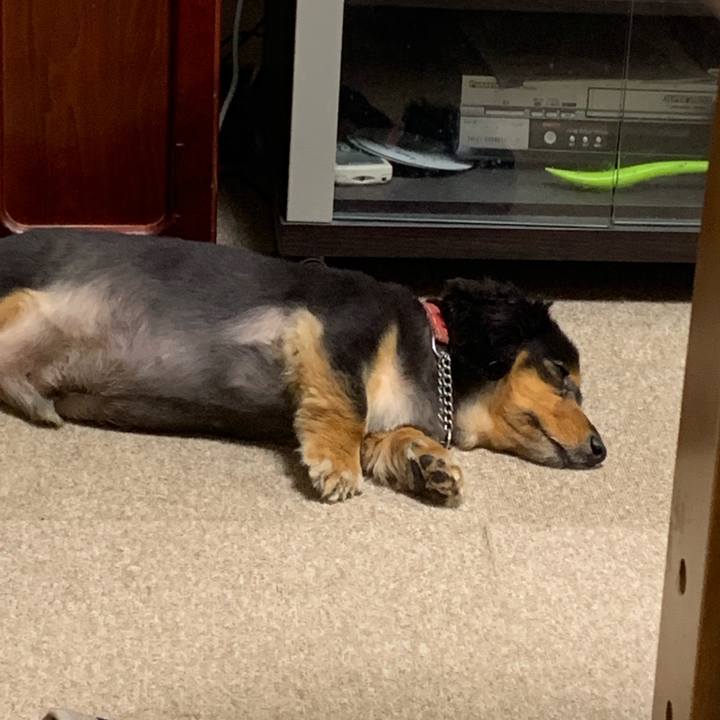 7272e543 95d6 43e0 bc36 b845dc4fe786 1563400283841