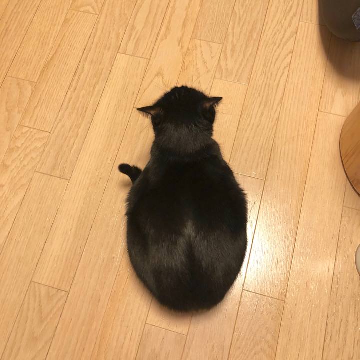 7272f179 22b7 4fda a745 4cfa45bfb352 1582801708347