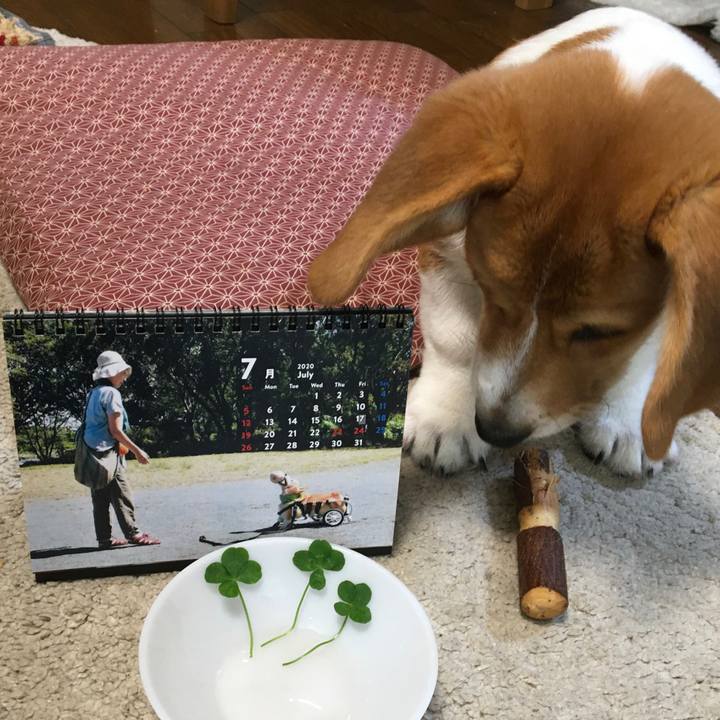 727331b7 f833 4836 8b24 856bedc5272a 1593564218240