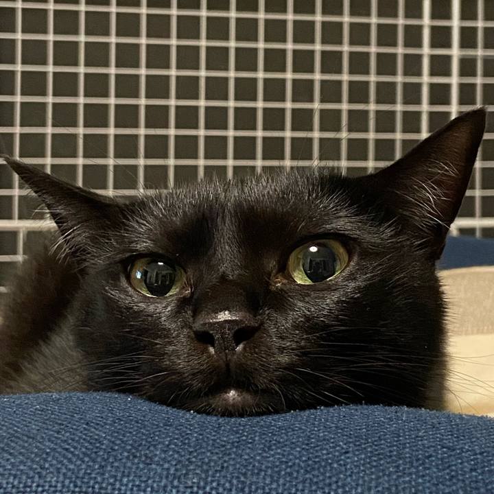 72735b7a acac 4dec a196 9d7953bbd2bb 1689078517463