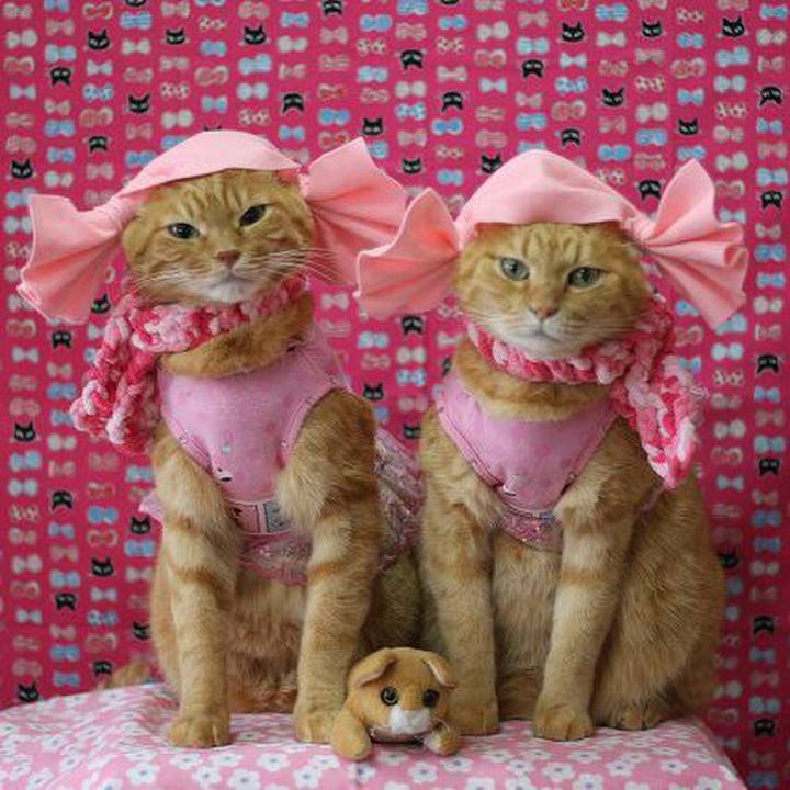 72735f6f d5bb 436b 9117 c6aea51ecacc 1532766786904