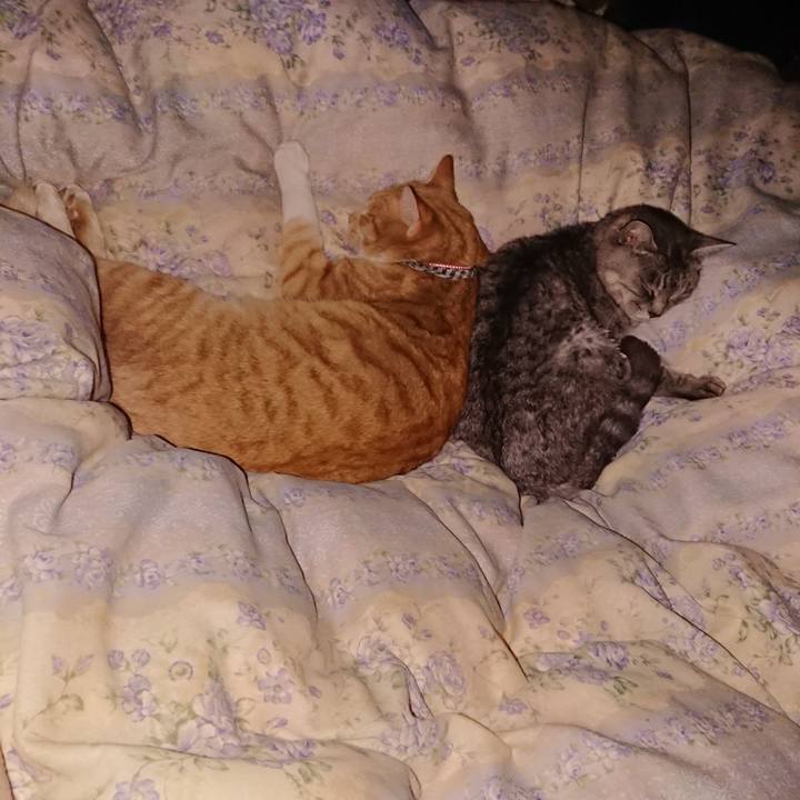 72736133 a2e6 4d5d ba20 162c0cffdf55 1576074531137