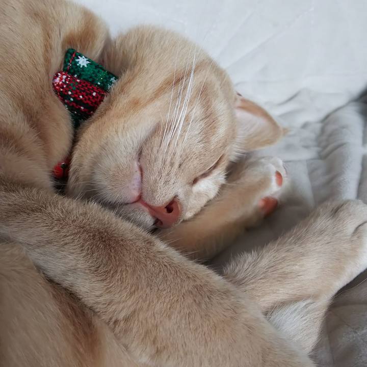 72737390 aa51 49f8 b7f7 e06a9df1a83e 1567228365065