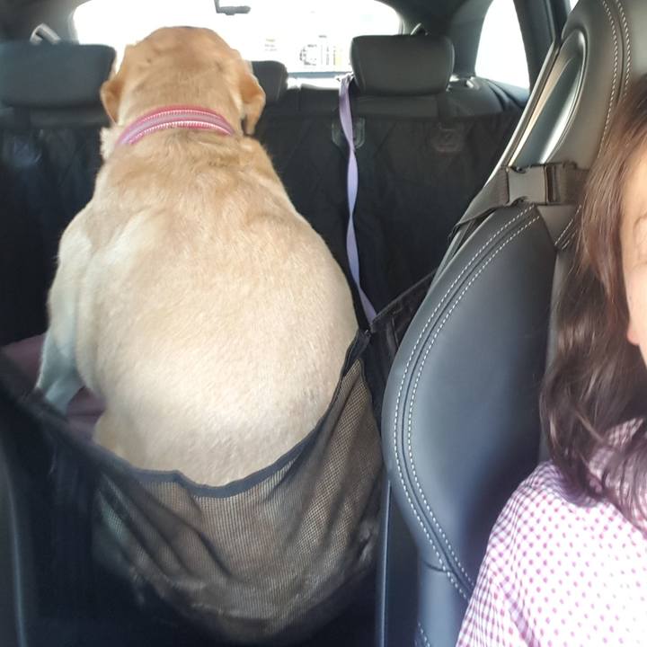 72738263 8b2a 459e b642 ad0951f3be07 1587291391396