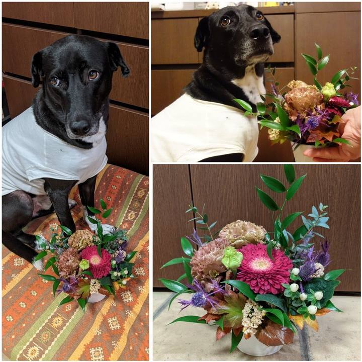 727384bd 2310 4d78 b534 9ea8c3cd42fb 1636022750056