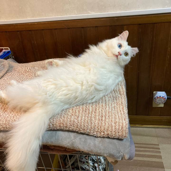 7273ab9e 1409 4e3c a881 b066d4fdaf76 1730989292496