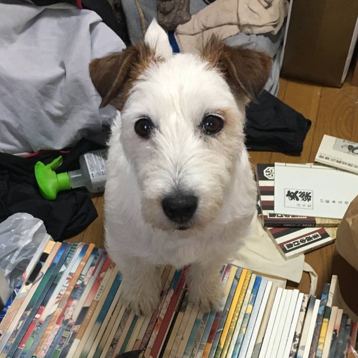 7273acb5 0b2f 4c74 afc6 163c945aeb77 1619476245230