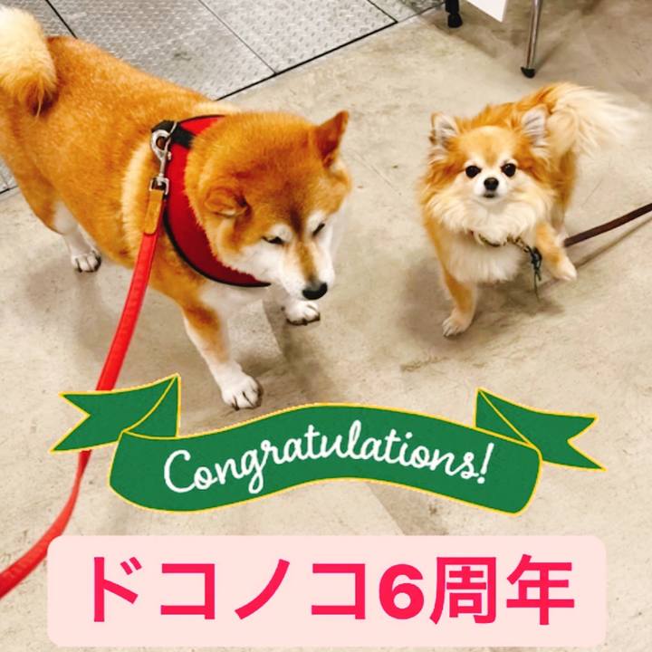 7273bcfe 23ba 4d29 870c c0800a7f5825 1654391705789