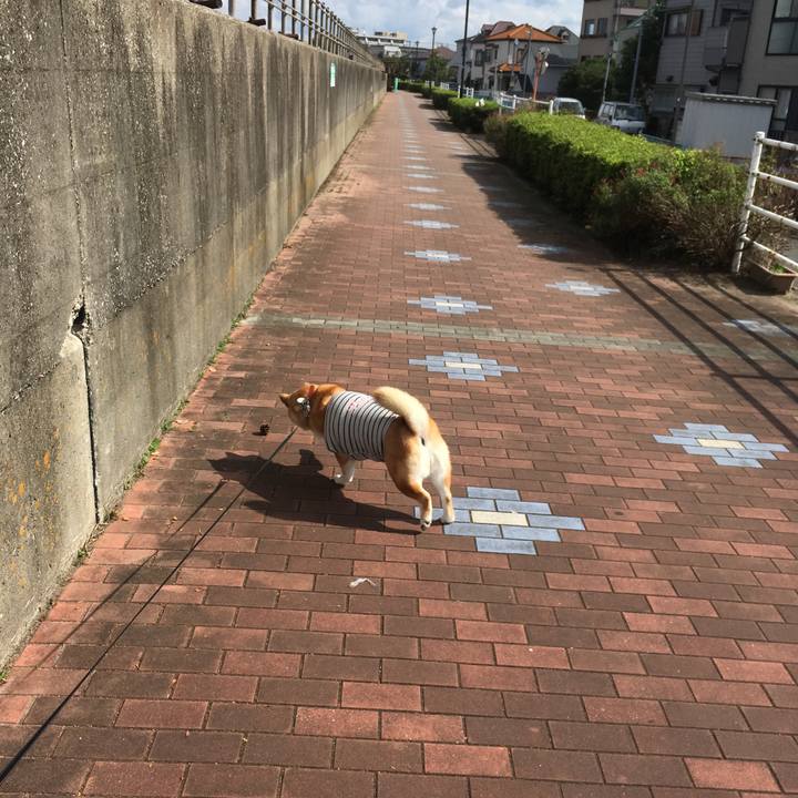 72740ab5 ded6 4ced 99d5 67a9762e2eac 1540005037770