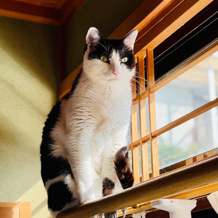 727422bb b21c 47ea b449 093aab8c292f 1617759988661