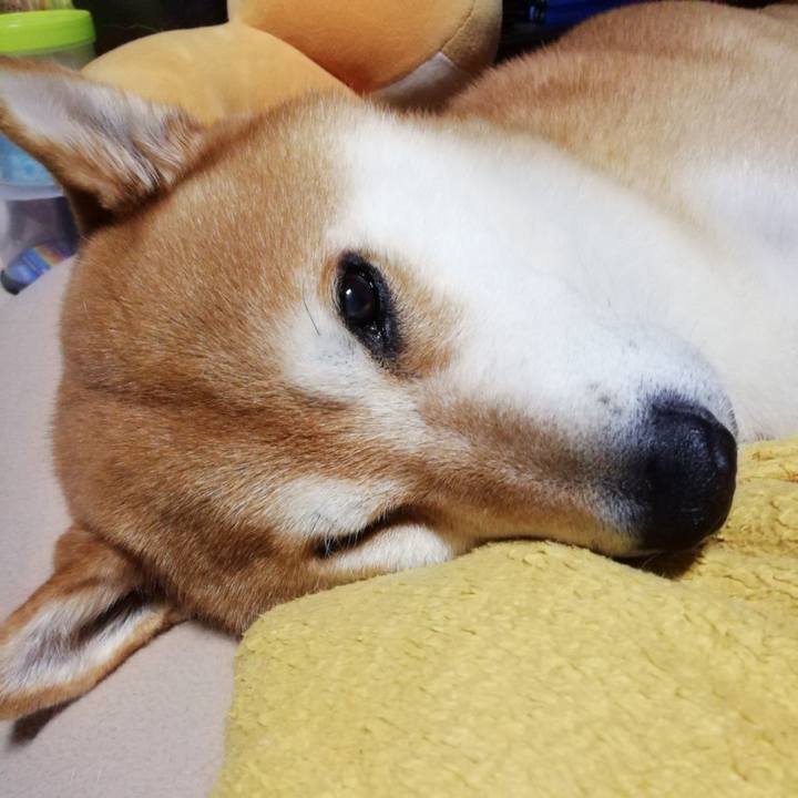 72745131 470b 461f 953d f5df94d49cb3 1635860442909