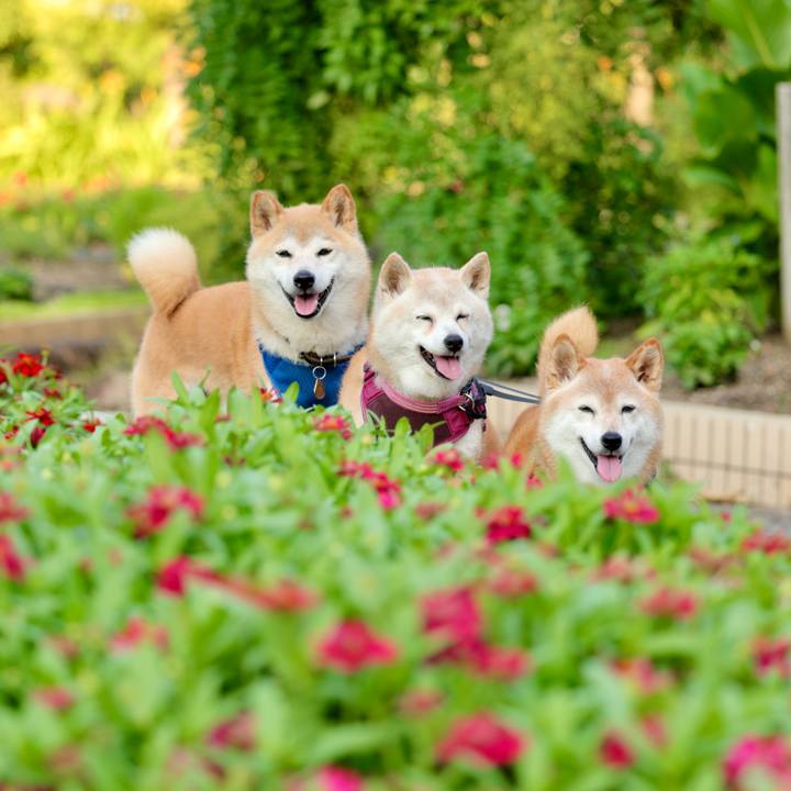 727455c8 3b2d 4bb7 b8b9 bd5b96ae7434 1752765734820