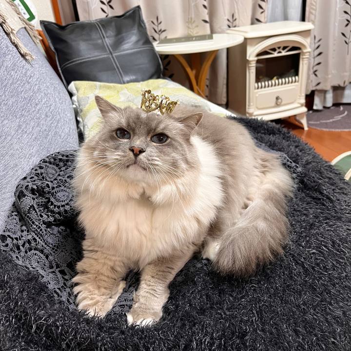 7274a029 09af 4be0 820f 09823cf5175c 1696288031057