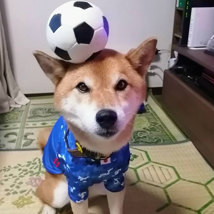 7274c425 f6f5 4da4 a816 6928be7ed583 1628240972643