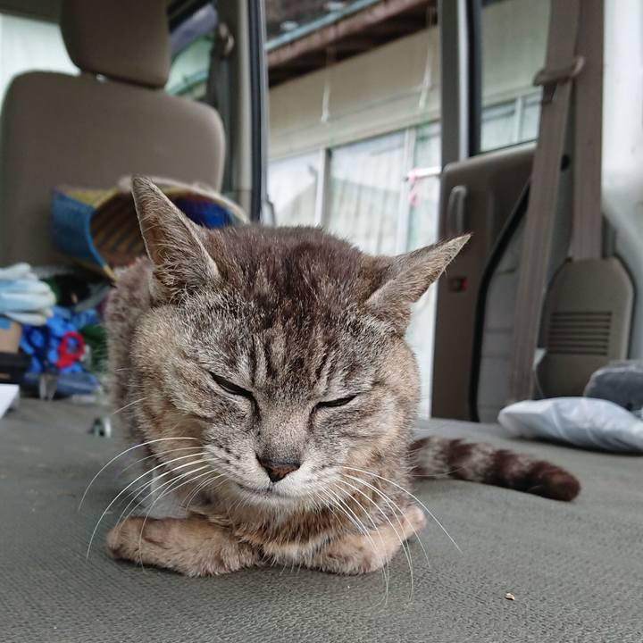 7274ccd5 4e65 4164 8e8e f23b23b176bb 1592016254319