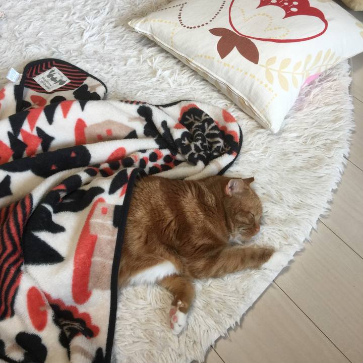 7274dfa1 c2e4 4e0f b9b8 57b0d03a37eb 1593849344608