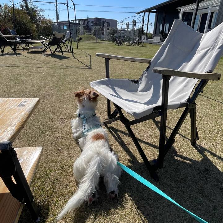 7274f304 b210 4659 8d39 452f533d5986 1775646360735