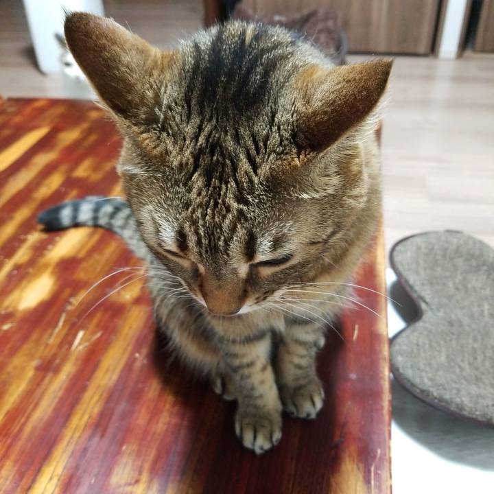 7274f625 42d3 4f14 b585 a16b40517c04 1584618254902