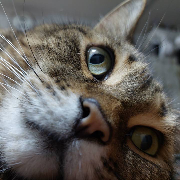 7274fce1 7d7e 4405 8be8 d3db960cb719 1666091099847