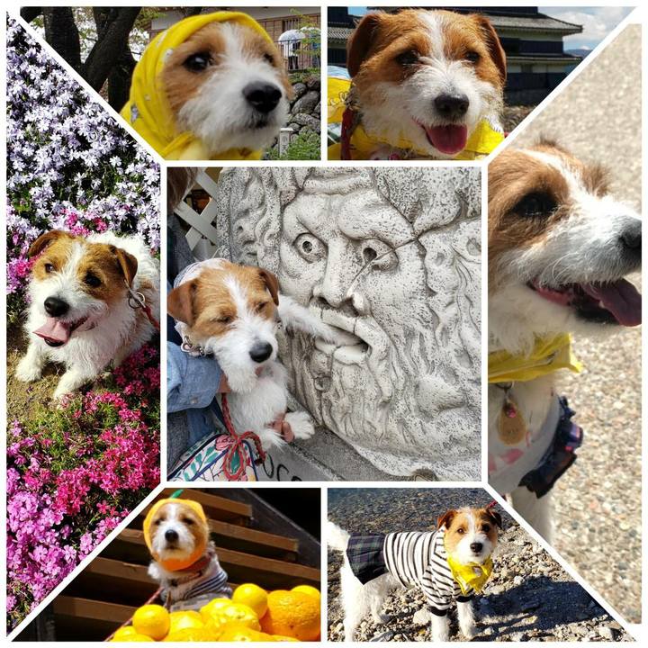 72751e5a 206e 4dad a949 734b1491481e 1557143493013