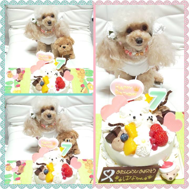 727582ab 62a9 4539 9722 09b195cdff0e 1629268157584